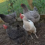 2 Bed In Thirsk Oc-48116 Nyaraló *