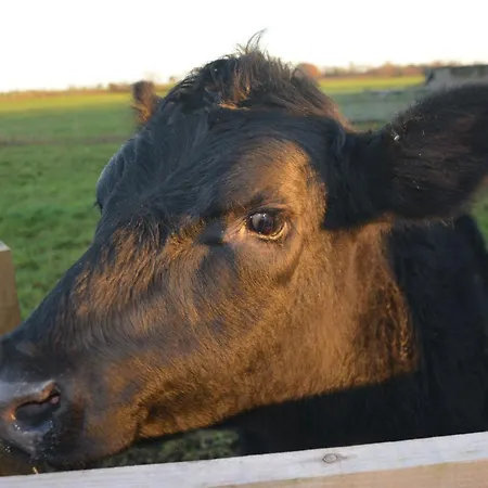 2 Bed In Thirsk 48116 Carthorpe