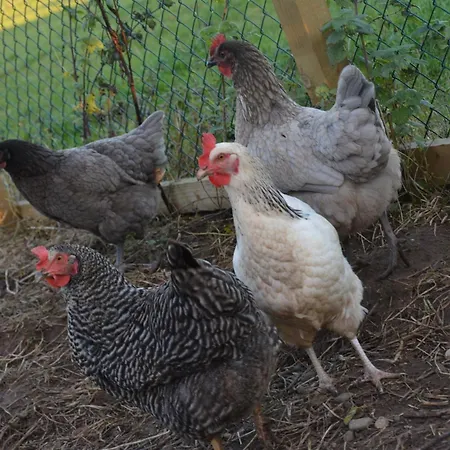 度假居 2 Bed In Thirsk 48116 *